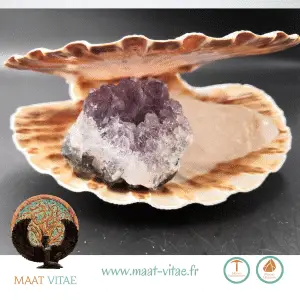 Coquille St Jacques entière - Pierres naturelles et équitables de notre partenaire Maât Vitae - www.maat-vitae.fr