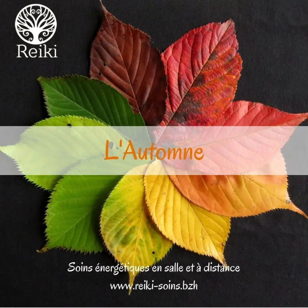 automne reiki soins sarah