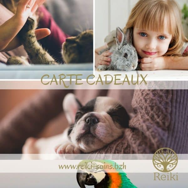 Carte cadeau Animal - Reiki Soins Côtes d'Armor