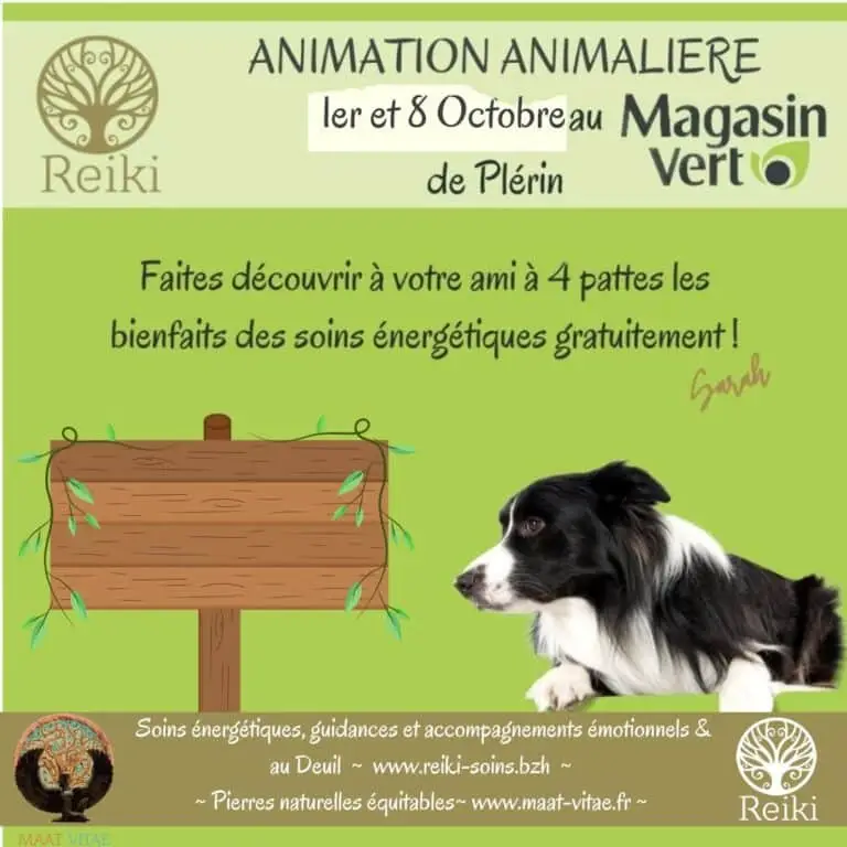 Testez les soins énergétiques pour votre animal de compagnie