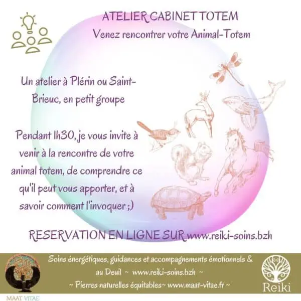 Atelier Totem au cabinet