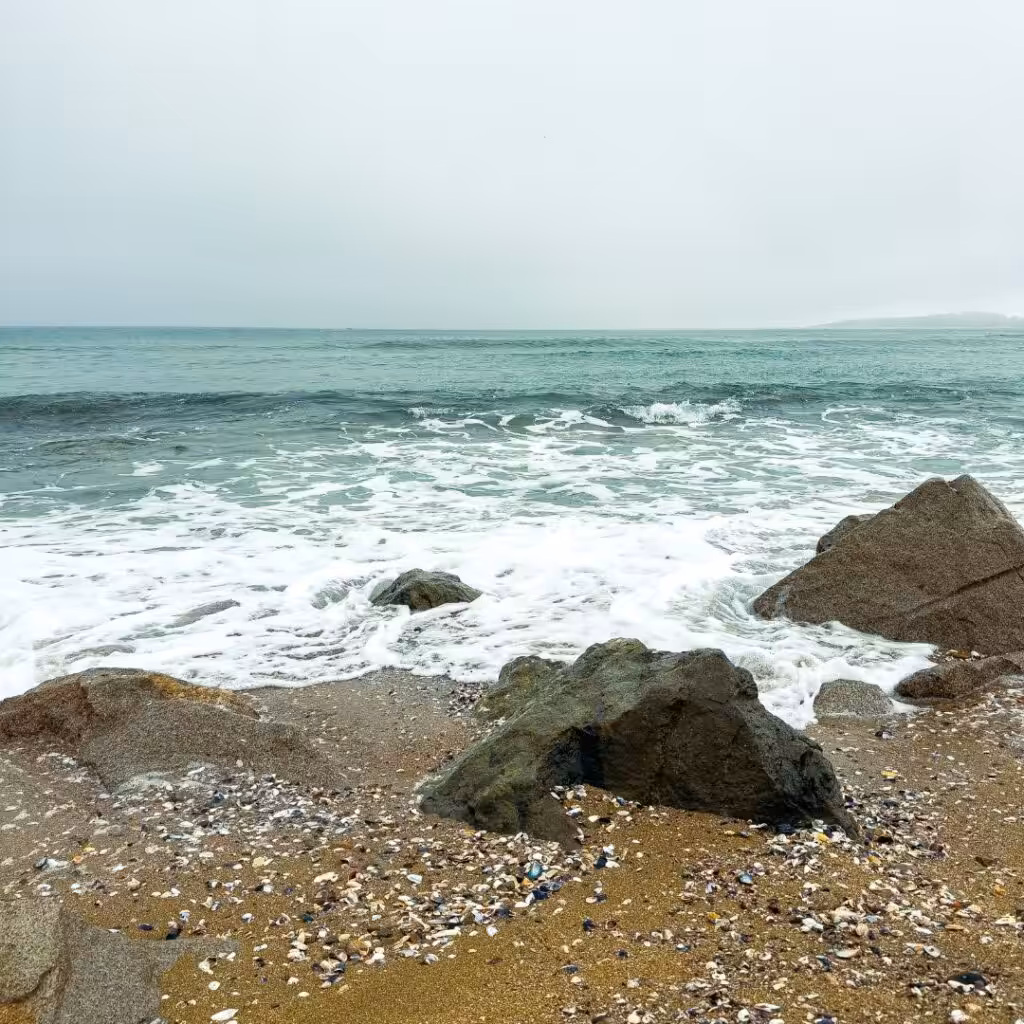 Froid breton - reiki - Sarah Toussaint-Piquard - Plérin - Bretagne