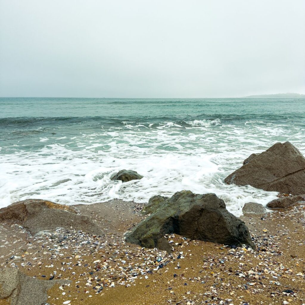 Froid breton - reiki - Sarah Toussaint-Piquard - Plérin - Bretagne