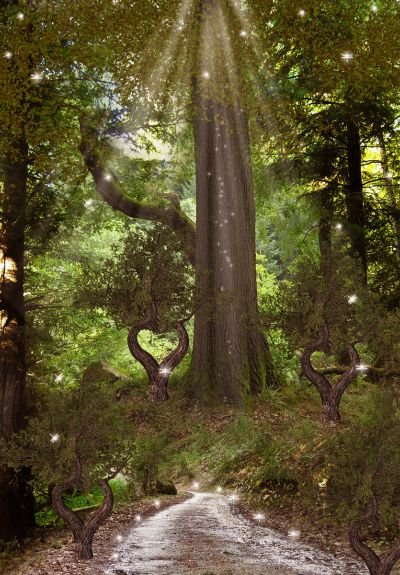 Les conseils de Sarah - Plérin - magnétisme - soins énergétiques